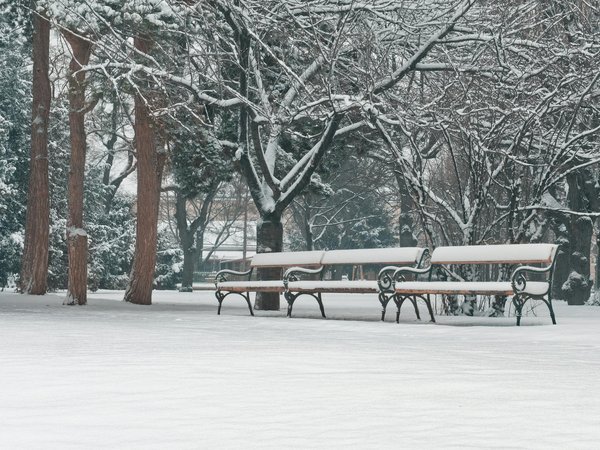 Comparatif des meilleurs sites chanvre : top 10 et avis détaillés