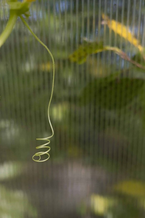 Syndrome de Marfan : quelles sont les adaptations nécessaires au quotidien ?